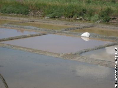 La r&eacute;colte du sel