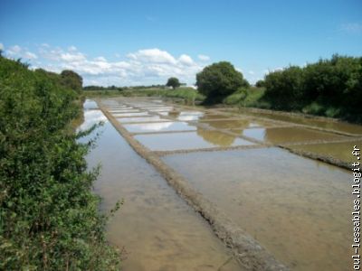 les marais salants