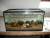 Un aquarium de classe